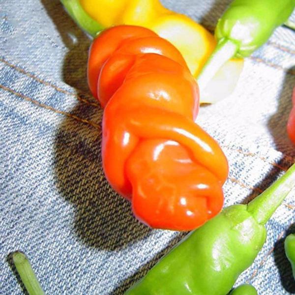 shopping גינה וגנים Egrow 100Pcs/Pack Chili Seeds Red Green Yellow Peppers Funny Kitchen Seasoners Plants Seeds