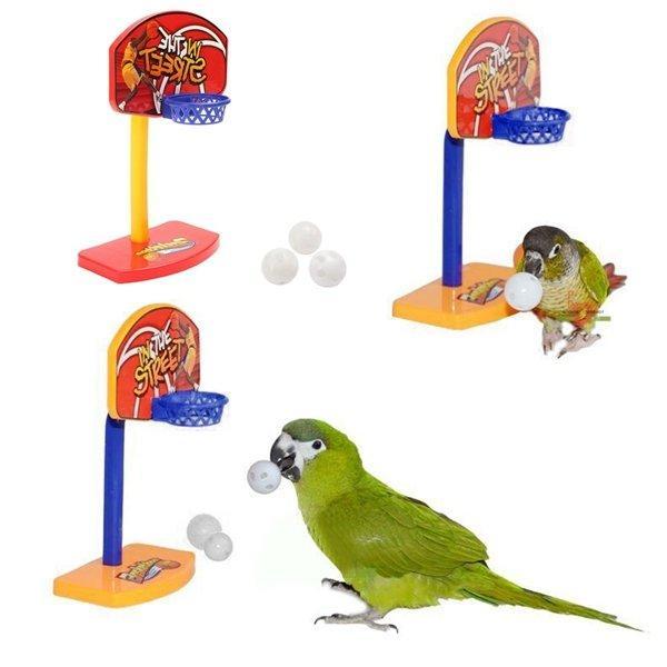 shopping ציוד לחיות מחמד 3Pcs Pet Birds Chew Parakeet Bell Balls Parrot Toys Birdie Basketball Hoop Prop