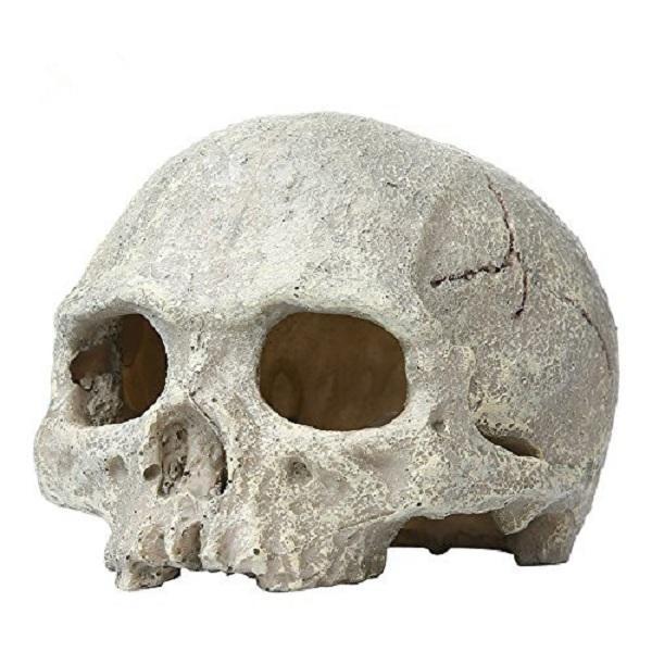 shopping ציוד לחיות מחמד Yani Aquarium Fish Tank Ornament Resin Head Bone Skull Emulational Skelecton Aquarium Decor