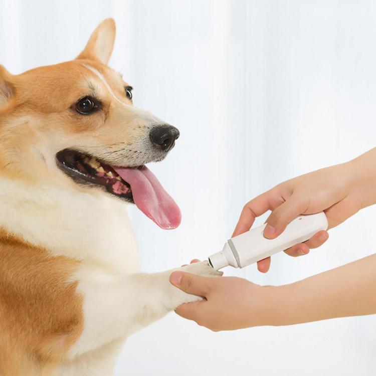 shopping ציוד לחיות מחמד MG-NG001 Rechargeable Pet Nail Cilppers Electric Dog Nails Polish USB Electric Pet Nail Scissors Grooming Trimmer From Xiaomi Youp