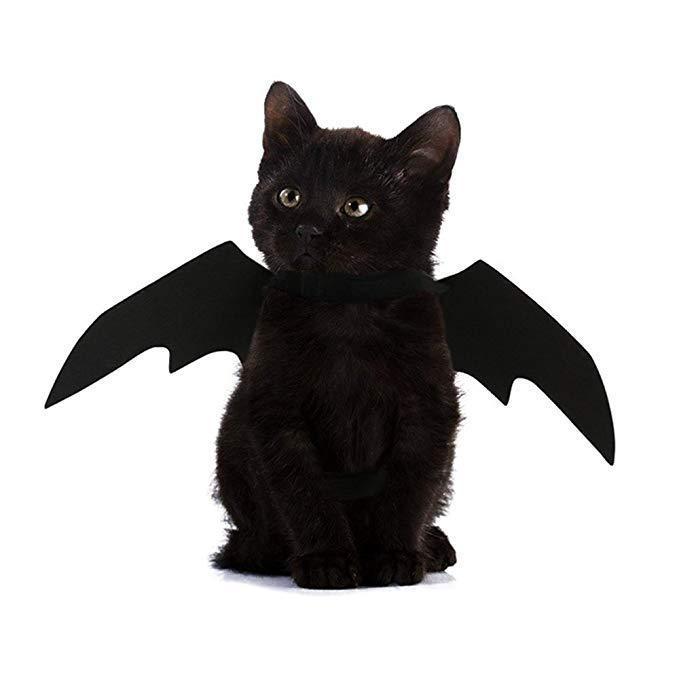 shopping ציוד לחיות מחמד Halloween Pet Dog Cat Bat Wings Costume Black Pet Puppy Cat Clothing Pet T-shirt