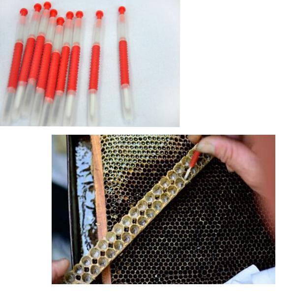 shopping ציוד לחיות מחמד 5Pcs Beekeeping Tools Beekeepers&ensp;Grafting&ensp;Tools Retractable Type Beekeeper Needle Grafting