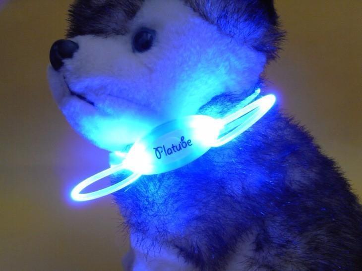 shopping ציוד לחיות מחמד Colorful LED Pet Dog Collar Chain Luminous Light LED Dog Cat Night Light Collar