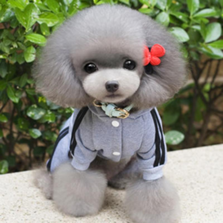 shopping ציוד לחיות מחמד Winter Warm Pet Dog Clothes Four-Legs Hoodie Small Dogs Sport Style Cotton Coats