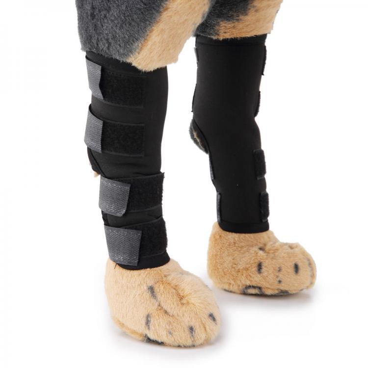shopping ציוד לחיות מחמד Dog Rear Hock Braces Canine Hind Hock Joint Sleeves with Safety Gear Reflective Straps