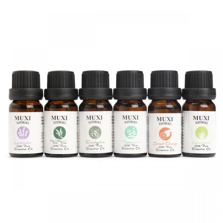 shopping טיפוח העור 6Pcs Pure &amp; Natural Essential Oil Humidifier Aromatherapy Fragrance 10ml Set