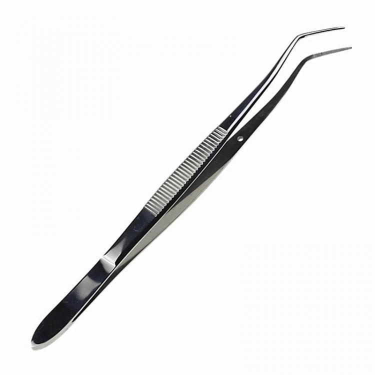 shopping טיפוח חלל הפה והשיניים Stainless Steel Dental Mouth Tweezer Instruments Oral Tool