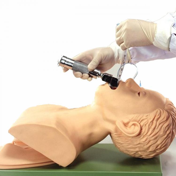 shopping טיפוח חלל הפה והשיניים Electronic Model Oral Nasal Intubation Training Study Teaching Airway Management Trainer