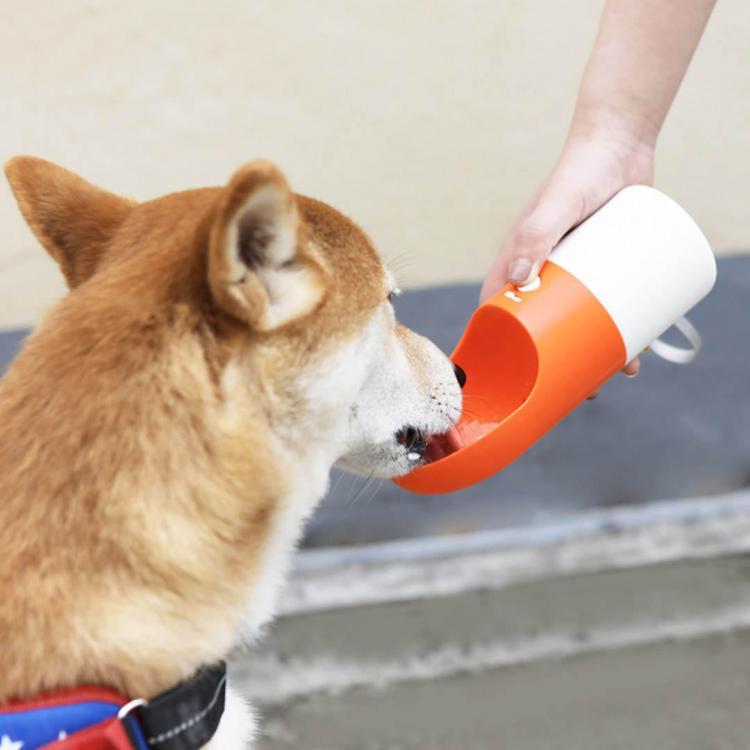shopping מוצרי בריאות MOESTAR ROCKET 270ML Portable Dog Water Bottle Fashion Pet Dog Travel Water Bottle Dispenser from Xiaomi youpin