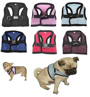 shopping ציוד לחיות מחמד Small Dog Mesh Harness Cool Comfortable XXS - L - Toy Puppy Chihuahua