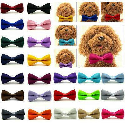 shopping ציוד לחיות מחמד Adorable Cat Dog Puppy Pet Kitten Toy Solid Bow Tie Necktie Collar Clothes