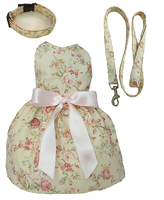 shopping ציוד לחיות מחמד Dog dress vintage roses ivory for small dog chihuahua toy breed, dachshund XXS-M